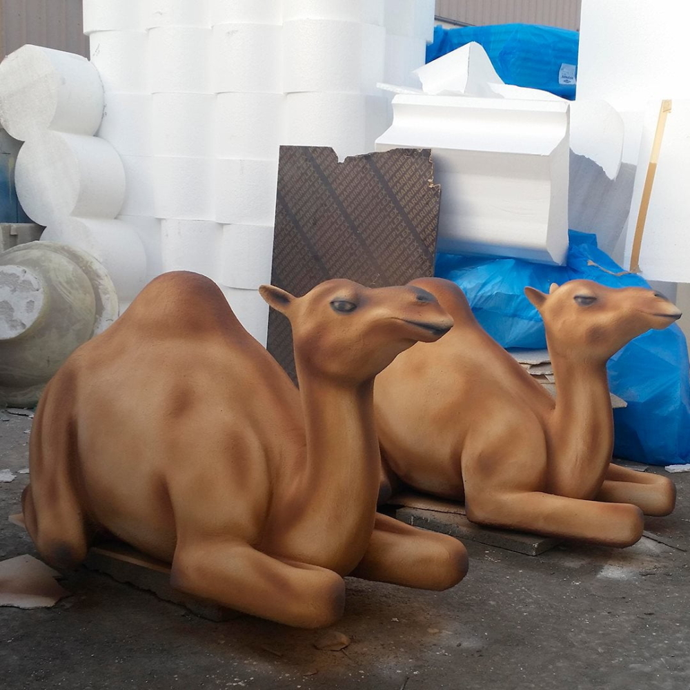 Camellos