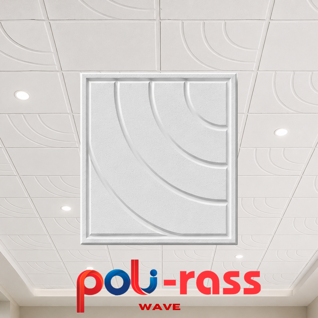 PoliRass - Imagen 15